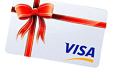 Visa